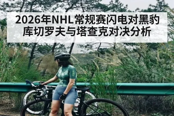 2026年NHL常规赛闪电对黑豹 库切罗夫与塔查克对决分析